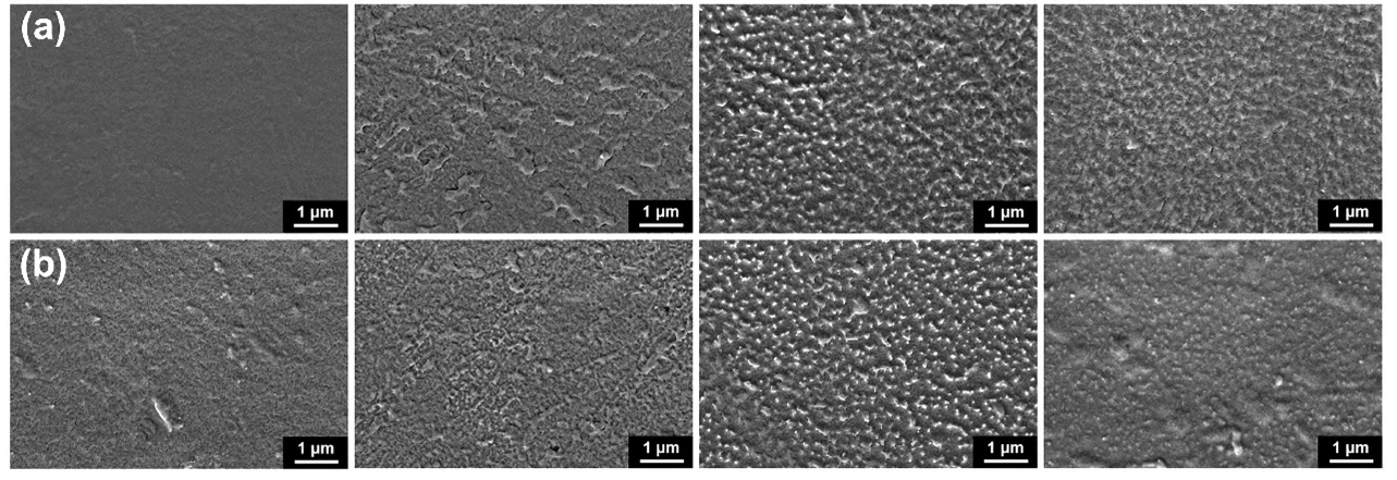 ETFE經(a)6 50 W和(b)9 50 W等離子體處理10 s,30 s,1 20 s,300 s(從左至右)后表面的SEM照片