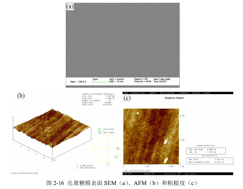 圖3-1 殼聚糖膜表面SEM(a)、AFM(b)和粗糙度(c) 